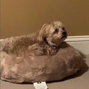 Meet your Posher, Marc